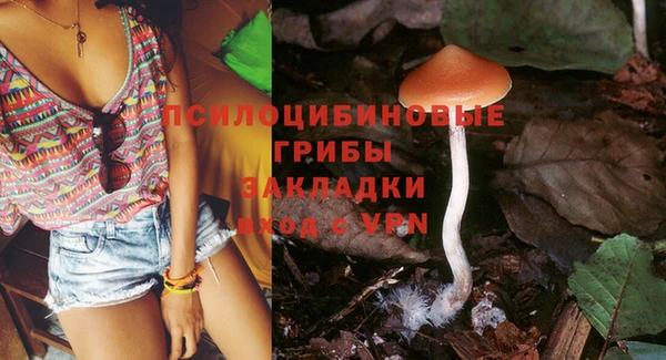 дмт Бугульма
