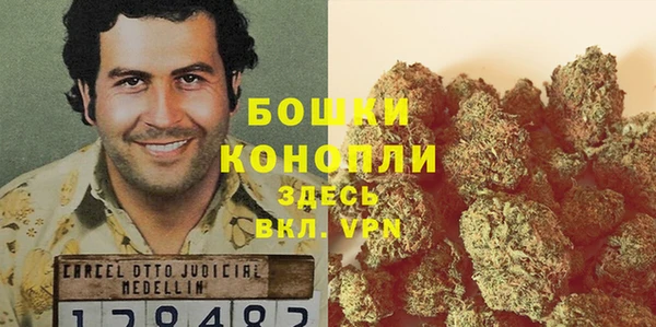 дурь Бронницы