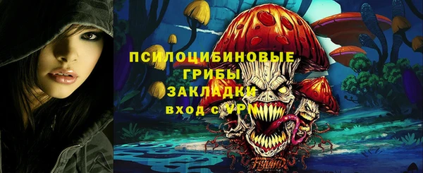дмт Бугульма