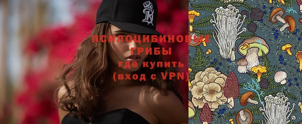 дурь Бронницы