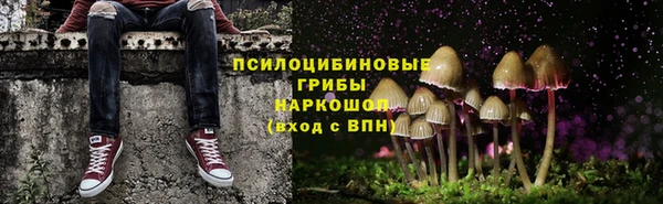 дурь Бронницы