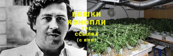 гидропоника Бородино