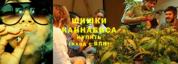 гидропоника Бородино