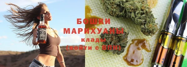 дурь Бронницы