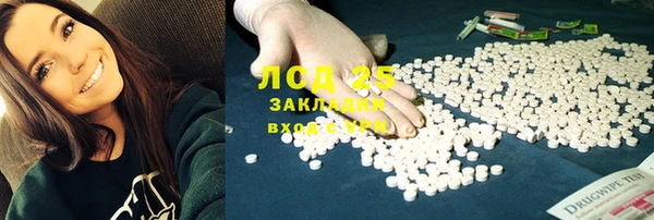 гидропоника Бородино