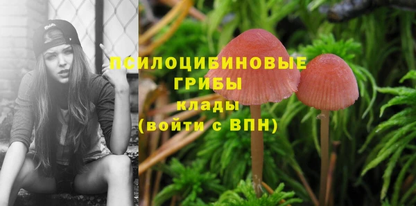 дурь Бронницы