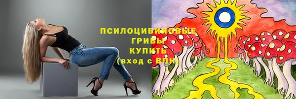 дмт Бугульма