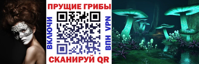 Псилоцибиновые грибы Psilocybine cubensis KRAKEN ССЫЛКА Энем